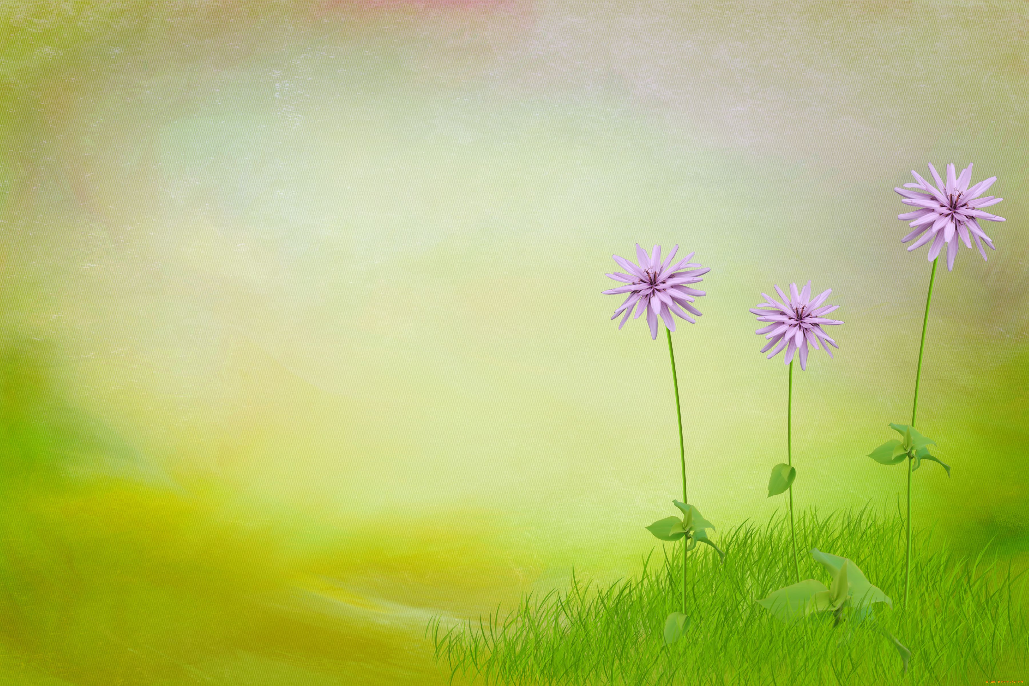 3d, , , art, wallpapers, 